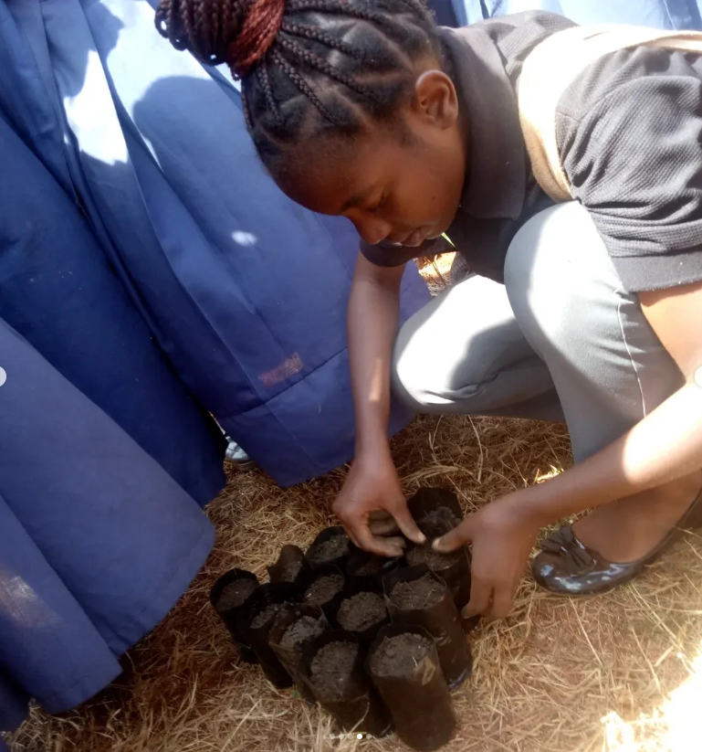 Volunteer preparing to plant a tree