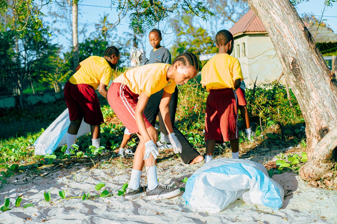 Students engaging in environmental activities